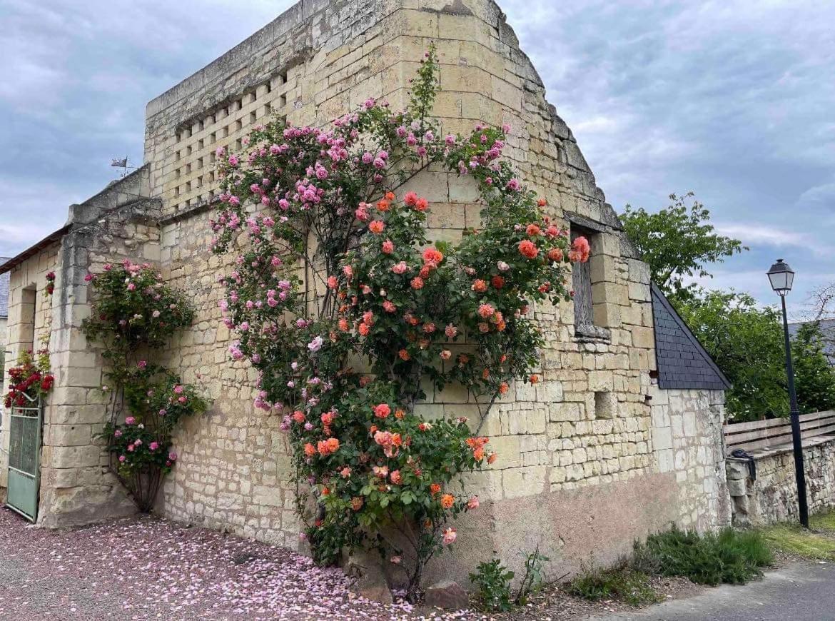 Le Colombier Lägenhet Le Coudray-Macouard Exteriör bild